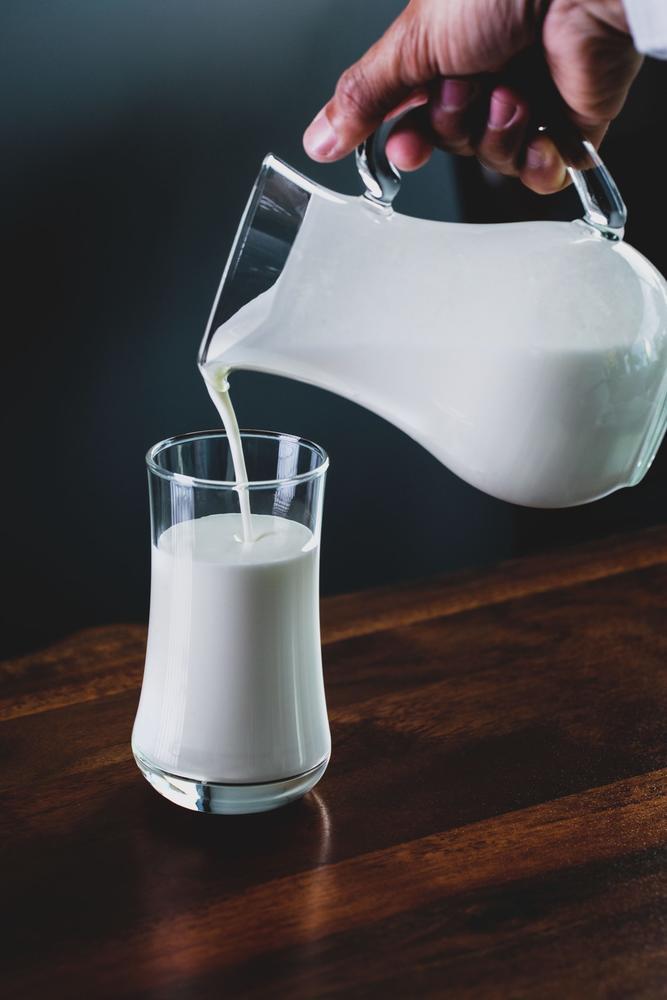 Milk | Melk | Dranken | Frietfestijn