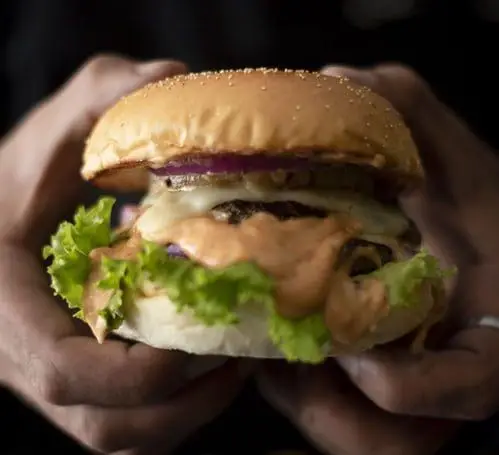 https://frietfestijn.nl/wp-content/uploads/2023/01/hamburger.jpg